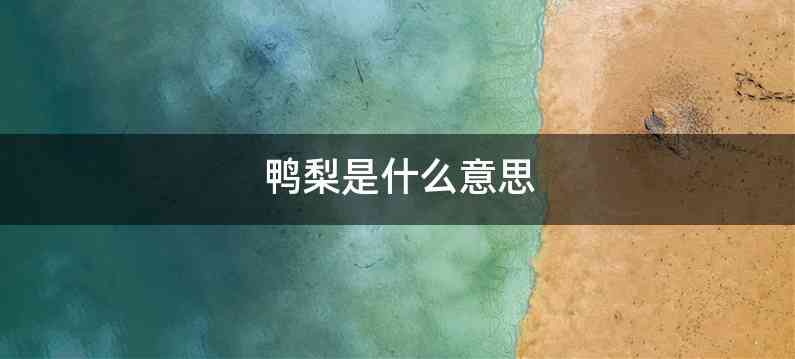 鸭梨是什么意思