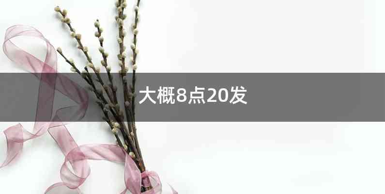 大概8点20发