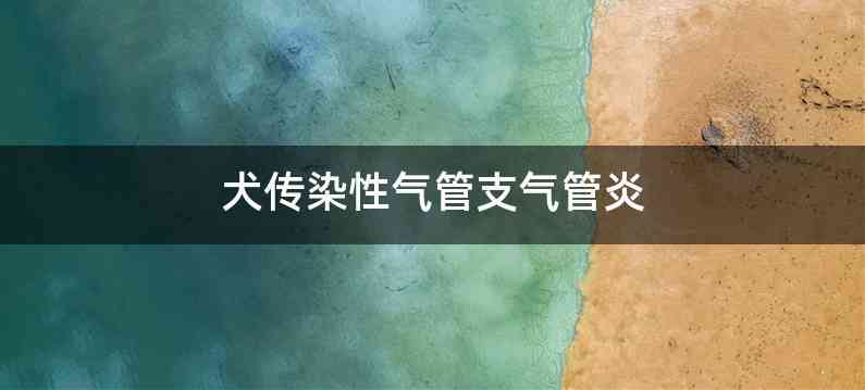 犬传染性气管支气管炎