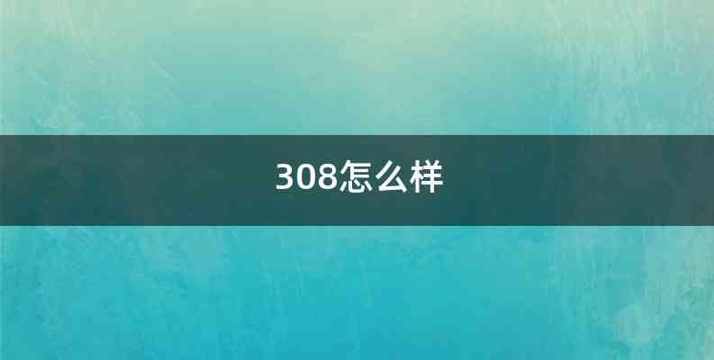 308怎么样