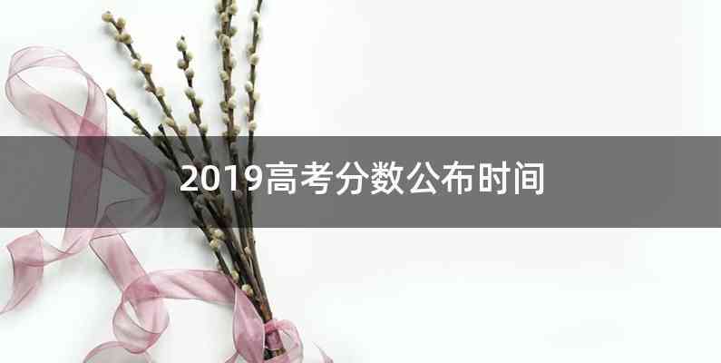 2019高考分数公布时间