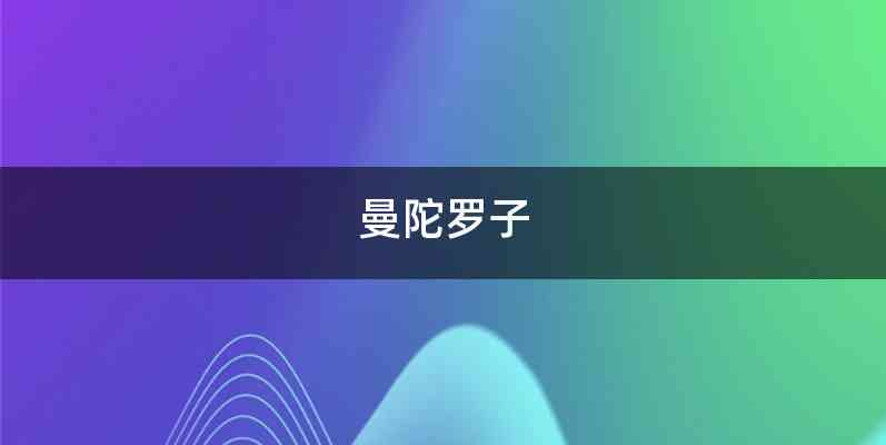 曼陀罗子