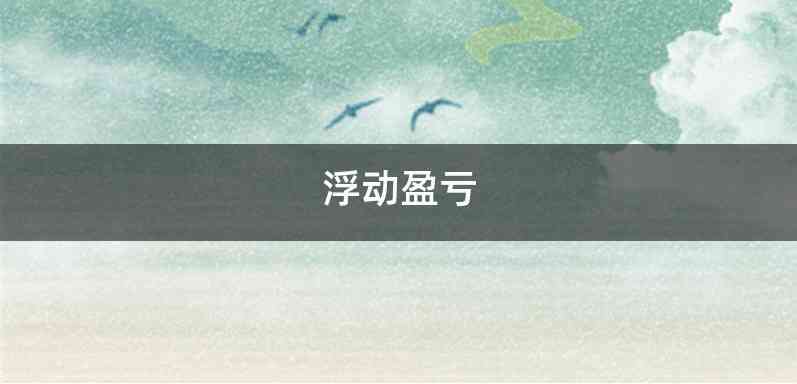 浮动盈亏