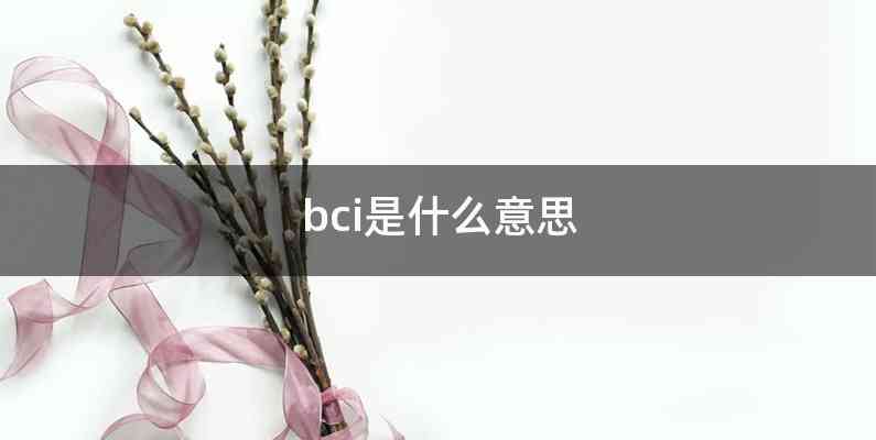 bci是什么意思