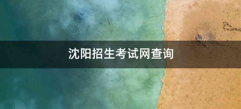 沈阳招生考试网查询