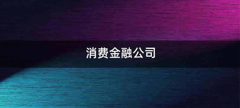 消费金融公司