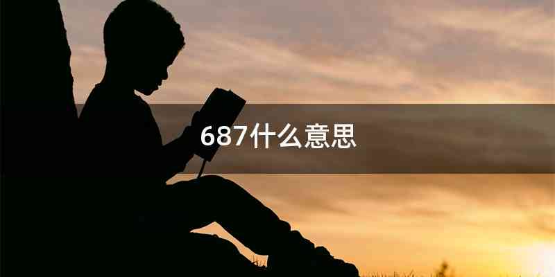 687什么意思