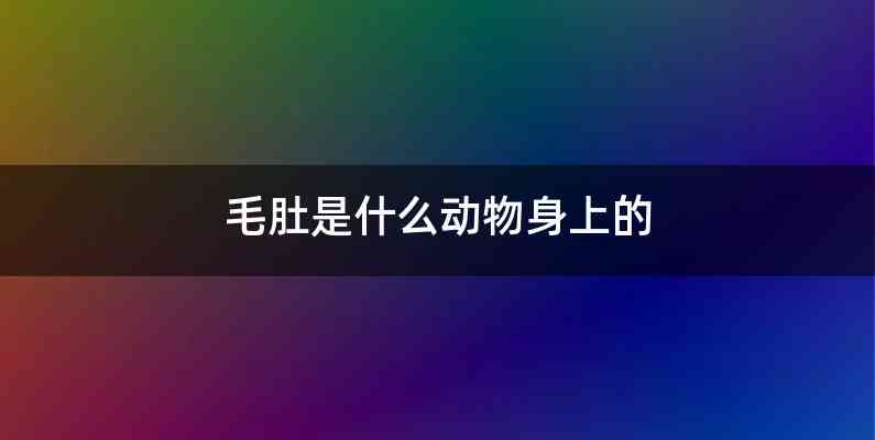 毛肚是什么动物身上的