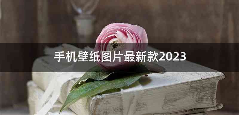 手机壁纸图片最新款2023