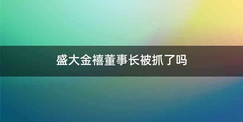 盛大金禧董事长被抓了吗