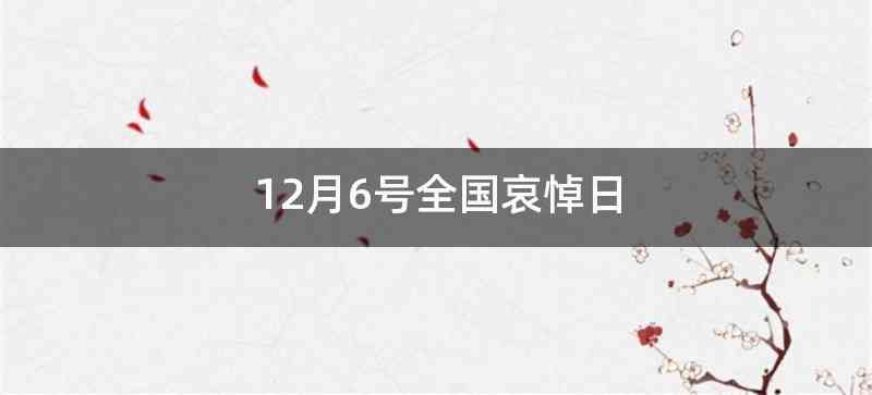 12月6号全国哀悼日