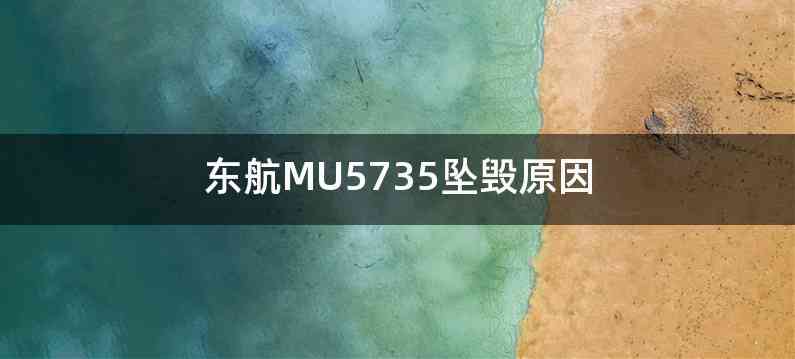 东航MU5735坠毁原因