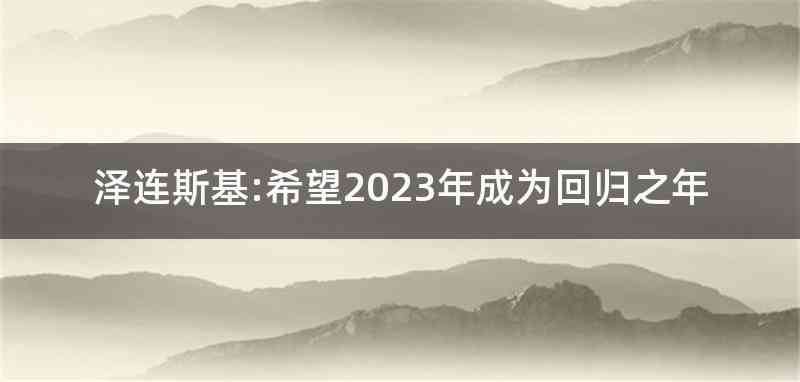 泽连斯基:希望2023年成为回归之年