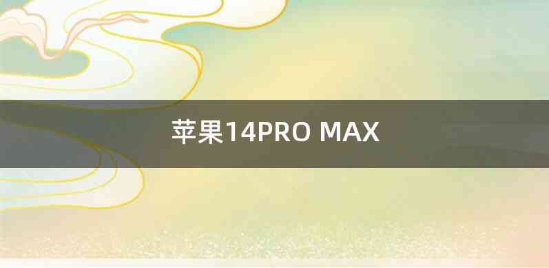 苹果14PRO MAX